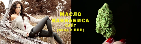 амф Бородино