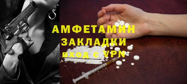 гидра Бронницы