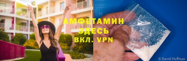 гидра Бронницы