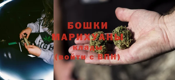 амф Бородино