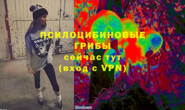 гидра Бронницы