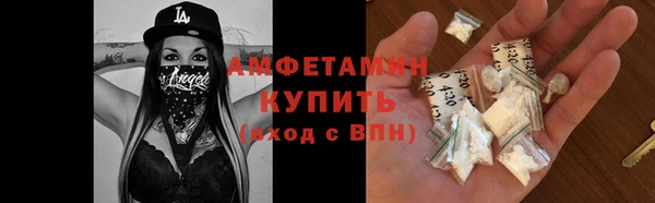 амф Бородино