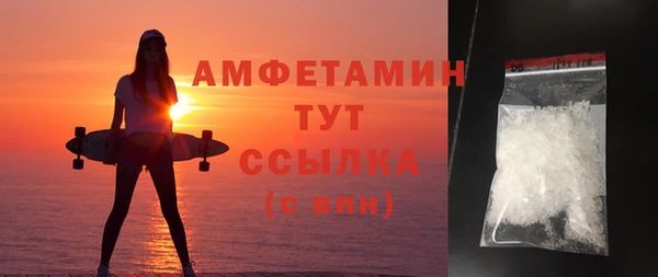 амф Бородино