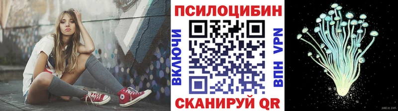 shop Telegram Кириллов Псилоцибиновые грибы Magic Shrooms